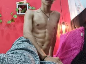 WebCAM von Leoadamss